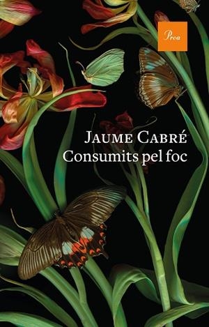CONSUMITS PEL FOC | 9788475888835 | CABRÉ, JAUME | Llibreria Drac - Llibreria d'Olot | Comprar llibres en català i castellà online