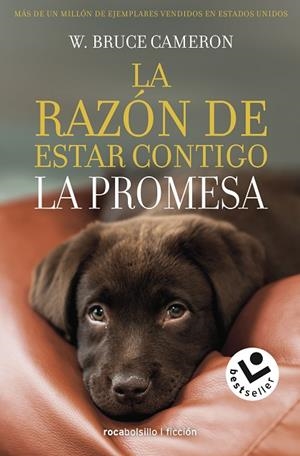 RAZÓN DE ESTAR CONTIGO, LA. LA PROMESA | 9788417821432 | CAMERON, BRUCE W. | Llibreria Drac - Librería de Olot | Comprar libros en catalán y castellano online
