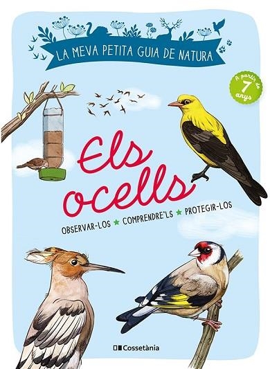 OCELLS, ELS | 9788413560359 | LUCHESI, MICHEL | Llibreria Drac - Librería de Olot | Comprar libros en catalán y castellano online