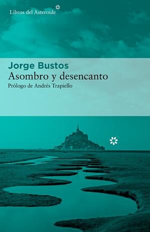 ASOMBRO Y DESENCANTO | 9788417977573 | BUSTOS, JORGE | Llibreria Drac - Librería de Olot | Comprar libros en catalán y castellano online