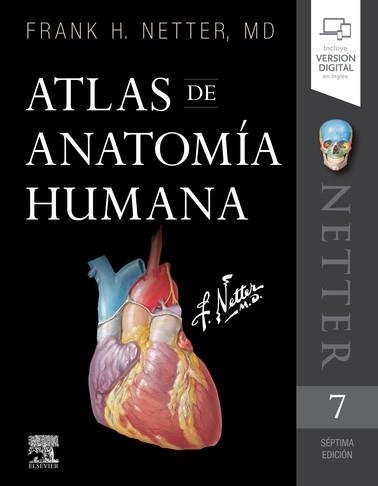 ATLAS DE ANATOMÍA HUMANA (7ª ED.) | 9788491134688 | NETTER, FRANK H. | Llibreria Drac - Librería de Olot | Comprar libros en catalán y castellano online