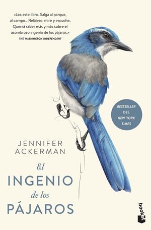 INGENIO DE LOS PÁJAROS, EL | 9788408241256 | ACKERMAN, JENNIFER | Llibreria Drac - Librería de Olot | Comprar libros en catalán y castellano online