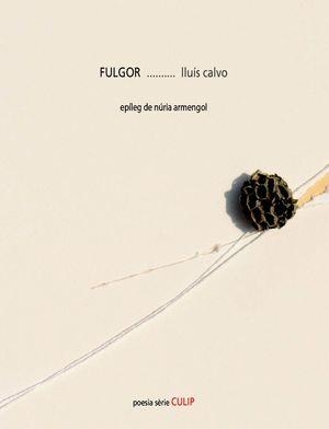 FULGOR | 9788481289862 | CALVO, LLUIS | Llibreria Drac - Librería de Olot | Comprar libros en catalán y castellano online