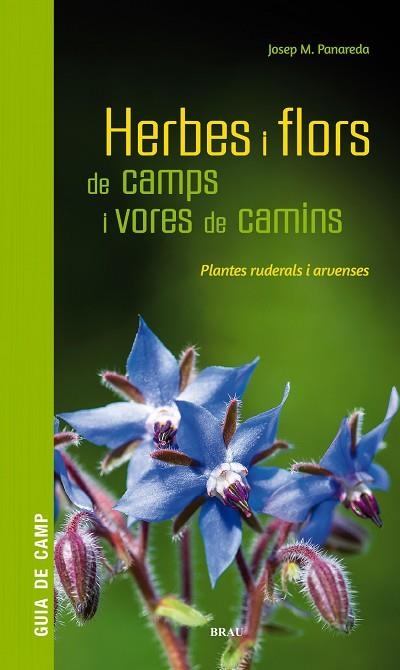 HERBES I FLORS DE CAMPS I VORES DE CAMINS | 9788418096082 | PANAREDA, JOSEP M | Llibreria Drac - Librería de Olot | Comprar libros en catalán y castellano online