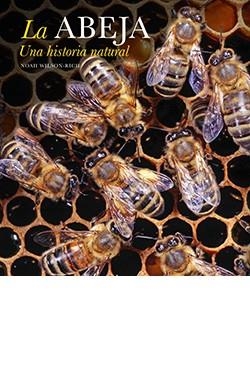 ABEJA, LA. UNA HISTORIA NATURAL | 9788417452575 | WILSON-RICH, NOAH | Llibreria Drac - Librería de Olot | Comprar libros en catalán y castellano online