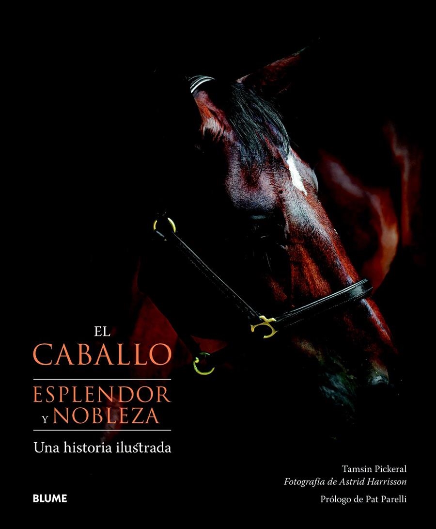 CABALLO ESPLENDOR Y NOBLEZA, EL  | 9788415317074 | PICKERAL, TAMSIN; HARRISSON, ASTRID | Llibreria Drac - Librería de Olot | Comprar libros en catalán y castellano online