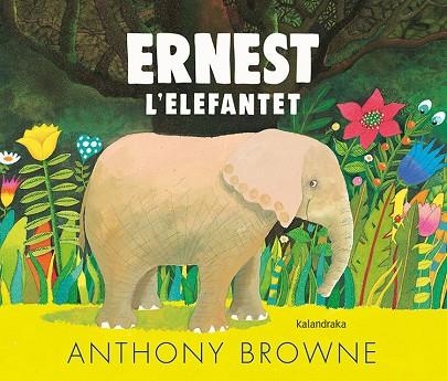 ERNEST L'ELEFANTET | 9788418558054 | BROWNE, ANTHONY | Llibreria Drac - Librería de Olot | Comprar libros en catalán y castellano online