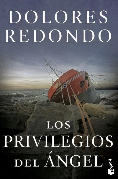 PRIVILEGIOS DEL ANGEL, LOS (EJEMPLAR FIRMADO) | 8432715132028 | REDONDO, DOLORES | Llibreria Drac - Llibreria d'Olot | Comprar llibres en català i castellà online