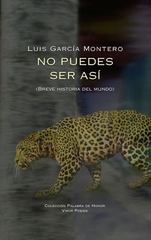 NO PUEDES SER ASÍ | 9788498956368 | GARCÍA MONTERO, LUIS | Llibreria Drac - Llibreria d'Olot | Comprar llibres en català i castellà online