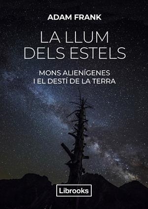 LLUM DELS ESTELS, LA | 9788412274585 | FRANK, ADAM | Llibreria Drac - Llibreria d'Olot | Comprar llibres en català i castellà online