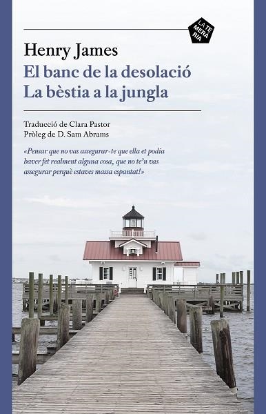 BANC DE LA DESOLACIÓ;  LA BÈSTIA A LA JUNGLA, EL | 9788412356410 | JAMES, HENRY | Llibreria Drac - Librería de Olot | Comprar libros en catalán y castellano online