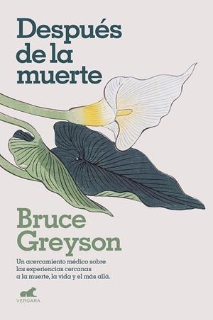 DESPUÉS DE LA MUERTE | 9788418045578 | GREYSON, BRUCE | Llibreria Drac - Librería de Olot | Comprar libros en catalán y castellano online