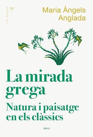 MIRADA GREGA, LA | 9788418096167 | ANGLADA I D'ABADAL, MARIA ÀNGELS | Llibreria Drac - Librería de Olot | Comprar libros en catalán y castellano online