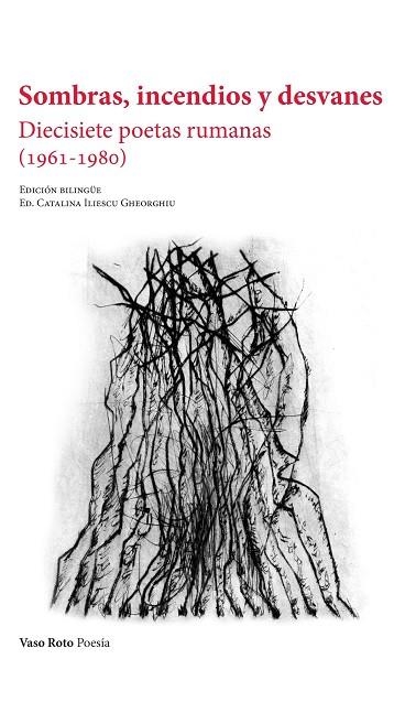 SOMBRAS, INCENDIOS Y DESVANES | 9788412263091 | VV.AA. | Llibreria Drac - Librería de Olot | Comprar libros en catalán y castellano online