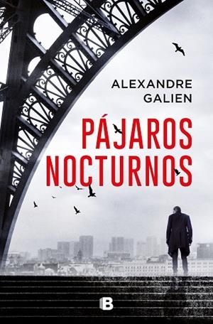 PÁJAROS NOCTURNOS | 9788466669443 | GALIEN, ALEXANDRE | Llibreria Drac - Llibreria d'Olot | Comprar llibres en català i castellà online