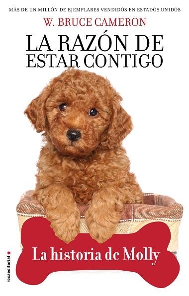 RAZÓN DE ESTAR CONTIGO, LA. LA HISTORIA DE MOLLY | 9788417968007 | CAMERON, W. BRUCE | Llibreria Drac - Llibreria d'Olot | Comprar llibres en català i castellà online
