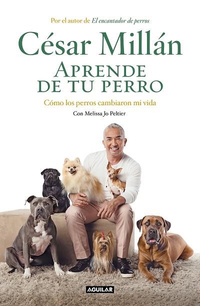 APRENDE DE TU PERRO | 9788403518445 | MILLÁN, CÉSAR | Llibreria Drac - Librería de Olot | Comprar libros en catalán y castellano online