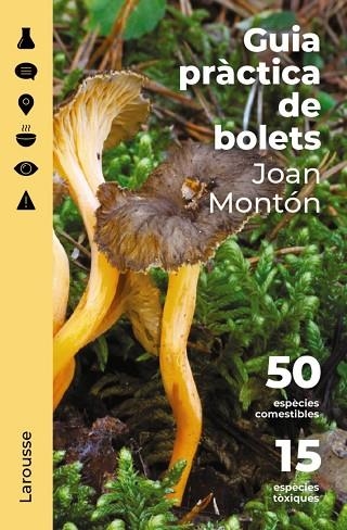 GUIA PRÀCTICA DE BOLETS | 9788418473852 | MONTÓN, JOAN | Llibreria Drac - Librería de Olot | Comprar libros en catalán y castellano online