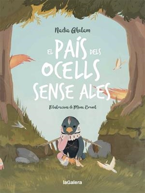 PAÍS DELS OCELLS SENSE ALES, EL | 9788424670481 | GHULAM, NADIA | Llibreria Drac - Llibreria d'Olot | Comprar llibres en català i castellà online