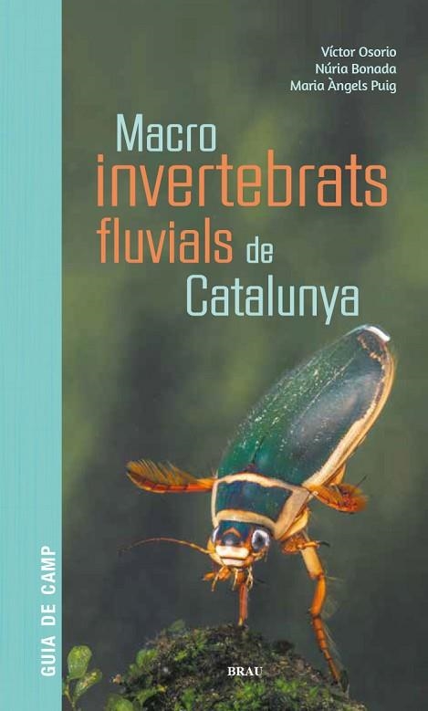 MACROINVERTEBRATS FLUVIALS DE CATALUNYA | 9788418096204 | AA.DD. | Llibreria Drac - Llibreria d'Olot | Comprar llibres en català i castellà online
