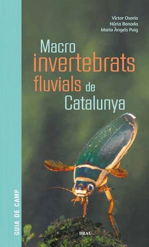 MACROINVERTEBRATS FLUVIALS DE CATALUNYA | 9788418096204 | AA.DD. | Llibreria Drac - Llibreria d'Olot | Comprar llibres en català i castellà online