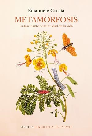 METAMORFOSIS | 9788418859052 | COCCIA, EMANUELE | Llibreria Drac - Librería de Olot | Comprar libros en catalán y castellano online