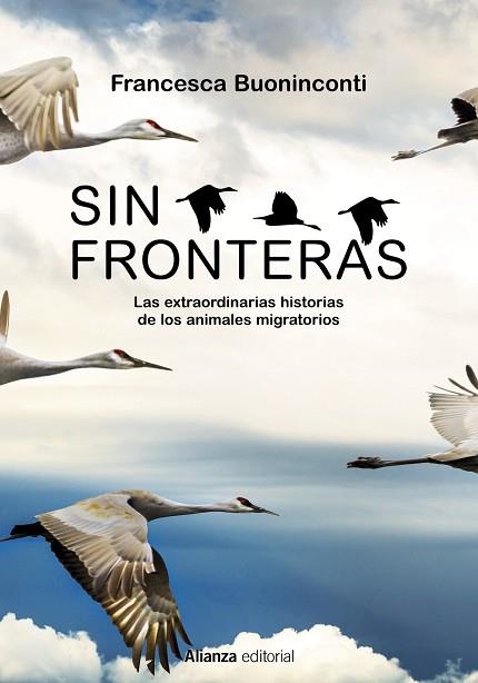 SIN FRONTERAS | 9788413625300 | BUONINCONTI, FRANCESCA | Llibreria Drac - Librería de Olot | Comprar libros en catalán y castellano online