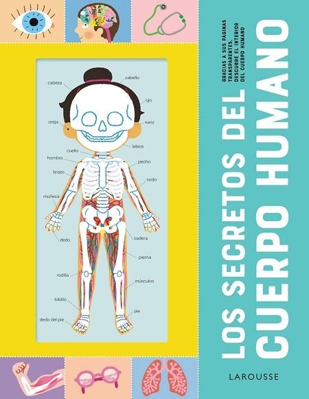 SECRETOS DEL CUERPO HUMANO, LOS | 9788418473210 | LAROUSSE | Llibreria Drac - Llibreria d'Olot | Comprar llibres en català i castellà online
