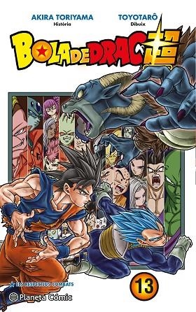 BOLA DE DRAC SUPER Nº 13 | 9788491730323 | TORIYAMA, AKIRA; TOYOTARÔ | Llibreria Drac - Librería de Olot | Comprar libros en catalán y castellano online