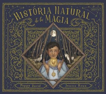 HISTÒRIA NATURAL DE LA MÀGIA | 9788418279874 | DAVID, POPPY | Llibreria Drac - Librería de Olot | Comprar libros en catalán y castellano online