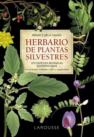 HERBARIO DE PLANTAS SILVESTRES | 9788418473999 | VIGNES, PIERRE; VIGNES, DÉLIA | Llibreria Drac - Librería de Olot | Comprar libros en catalán y castellano online