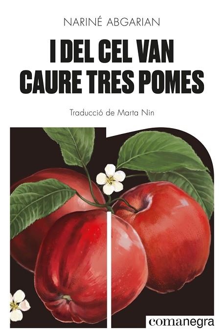 I DEL CEL VAN CAURE TRES POMES | 9788418857041 | ABGARIAN, NARINÉ | Llibreria Drac - Librería de Olot | Comprar libros en catalán y castellano online