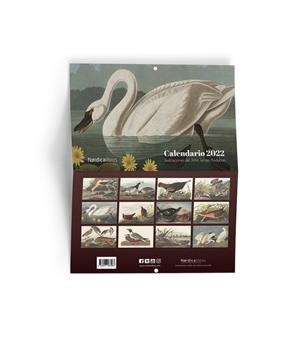 CALENDARIO AVES DE AMÉRICA 2022 | 9788418930317 | AUDUBON, JOHN JAMES | Llibreria Drac - Librería de Olot | Comprar libros en catalán y castellano online