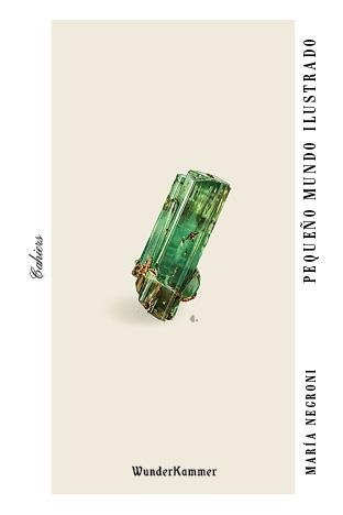 PEQUEÑO MUNDO ILUSTRADO | 9788494972560 | NEGRONI, MARÍA | Llibreria Drac - Librería de Olot | Comprar libros en catalán y castellano online