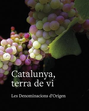 CATALUNYA, TERRA DE VI | 9788416445615 | TOLOSA, LLUÍS; SUCARRATS, JOSEP; FRANCÀS, RAMON; SANS, JOSEP MARIA | Llibreria Drac - Librería de Olot | Comprar libros en catalán y castellano online