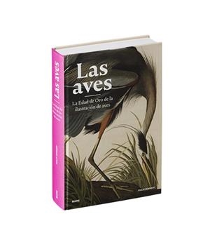 AVES, LAS | 9788418725500 | KENNEDY, PHILIP | Llibreria Drac - Llibreria d'Olot | Comprar llibres en català i castellà online