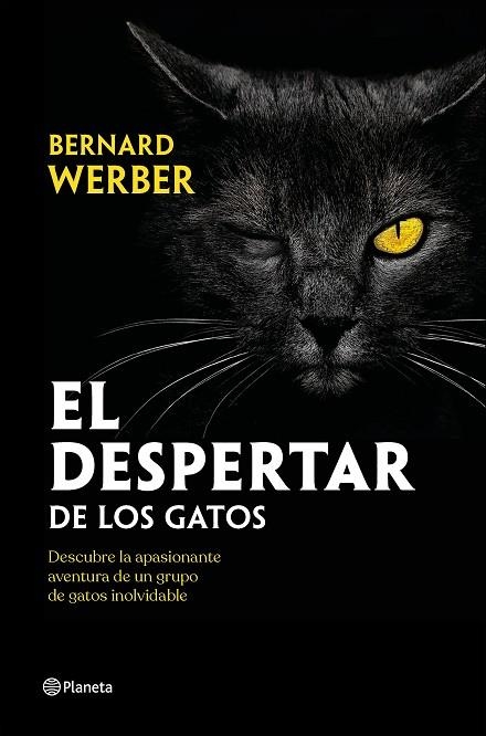 DESPERTAR DE LOS GATOS, EL | 9788408251835 | WERBER, BERNARD | Llibreria Drac - Librería de Olot | Comprar libros en catalán y castellano online