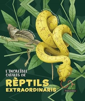 INCREÏBLE CATÀLEG DE RÈPTILS EXTRAORDINARIS, L' | 9788418520341 | BANFI, CRISTINA | Llibreria Drac - Librería de Olot | Comprar libros en catalán y castellano online