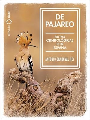DE PAJAREO | 9788408251514 | SANDOVAL, ANTONIO | Llibreria Drac - Librería de Olot | Comprar libros en catalán y castellano online