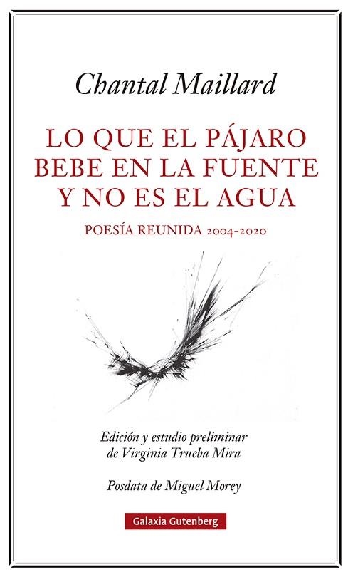 LO QUE EL PÁJARO BEBE EN LA FUENTE Y NO ES EL AGUA | 9788418807633 | MAILLARD, CHANTAL | Llibreria Drac - Librería de Olot | Comprar libros en catalán y castellano online