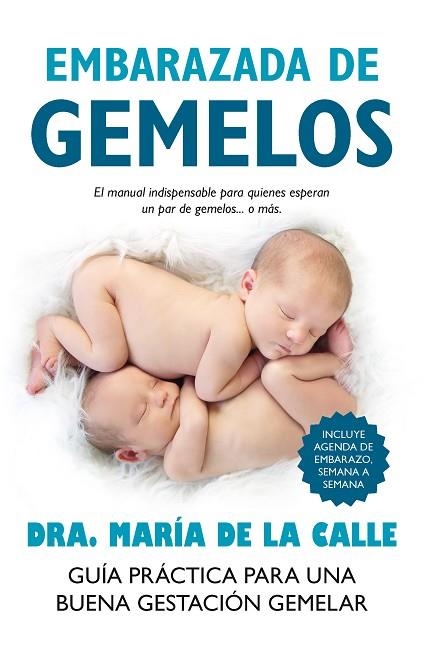 EMBARAZADA DE GEMELOS | 9788416002351 | FERNÁNDEZ, MARÍA DE LA CALLE | Llibreria Drac - Librería de Olot | Comprar libros en catalán y castellano online