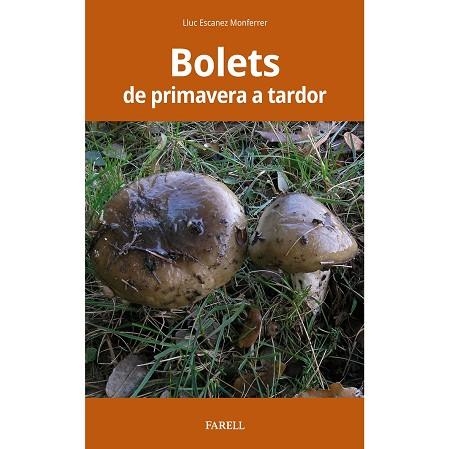 BOLETS DE PRIMAVERA A TARDOR | 9788417116538 | ESCANEZ MONFERRER, LLUC | Llibreria Drac - Librería de Olot | Comprar libros en catalán y castellano online
