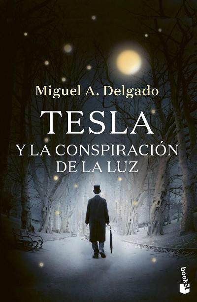 TESLA Y LA CONSPIRACIÓN DE LA LUZ | 9788423361212 | DELGADO, MIGUEL ÁNGEL | Llibreria Drac - Llibreria d'Olot | Comprar llibres en català i castellà online