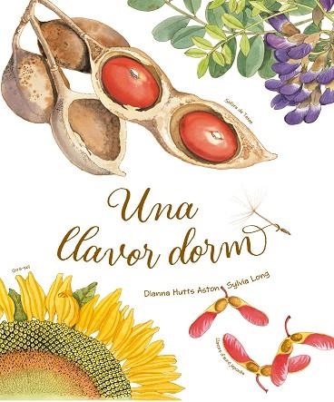 LLAVOR DORM, UNA | 9788418900235 | HUTTS ASTON, DIANNA | Llibreria Drac - Librería de Olot | Comprar libros en catalán y castellano online
