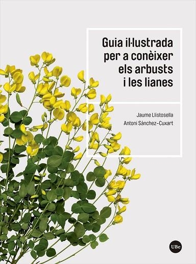 GUIA IL·LUSTRADA PER A CONÈIXER ELS ARBUSTS I LES LIANES | 9788491683735 | LLISTOSELLA VIDAL, JAUME; SÀNCHEZ-CUXART, ANTONI | Llibreria Drac - Librería de Olot | Comprar libros en catalán y castellano online