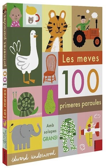 MEVES 100 PRIMERES PARAULES | 9788491015932 | UNDERWOOD, EDWARD | Llibreria Drac - Librería de Olot | Comprar libros en catalán y castellano online