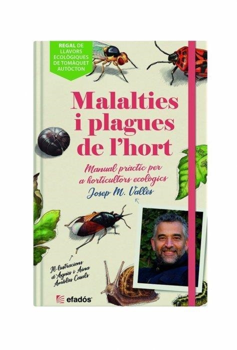 MALALTIES I PLAGUES DE L'HORT | 9788419239044 | VALLÈS, JOSEP MARIA | Llibreria Drac - Librería de Olot | Comprar libros en catalán y castellano online