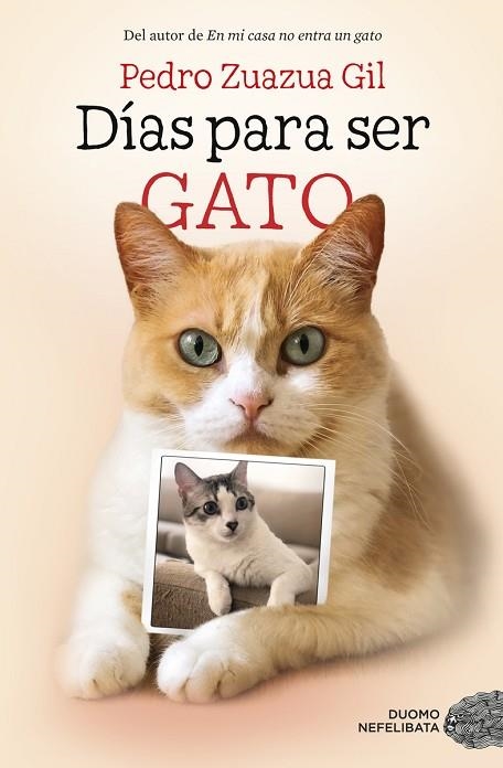 DÍAS PARA SER GATO | 9788417128524 | ZUAZUA, PEDRO | Llibreria Drac - Llibreria d'Olot | Comprar llibres en català i castellà online