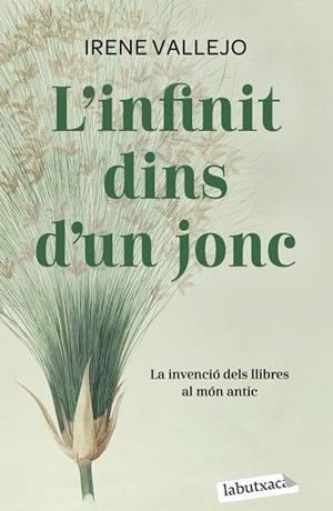 INFINIT DINS D'UN JONC, L' | 9788419107121 | VALLEJO, IRENE | Llibreria Drac - Llibreria d'Olot | Comprar llibres en català i castellà online