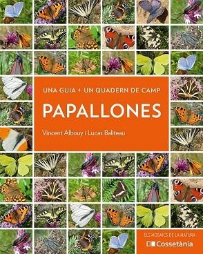 PAPALLONES | 9788413560540 | ALBOUY, VINCENT; BALITEAU, LUCAS | Llibreria Drac - Librería de Olot | Comprar libros en catalán y castellano online